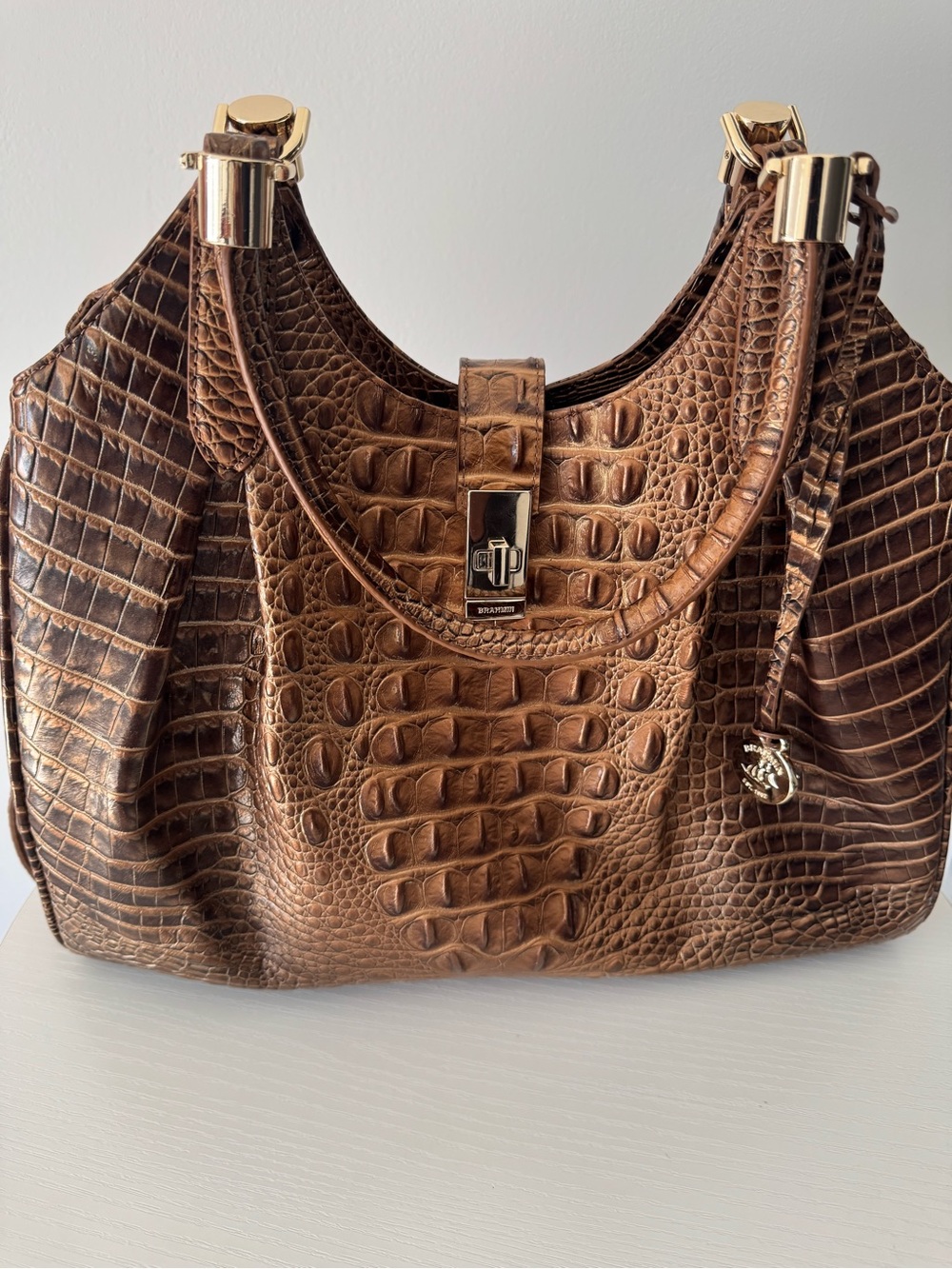 Brahmin Celia Hazelnut Melbourne Leather Bag